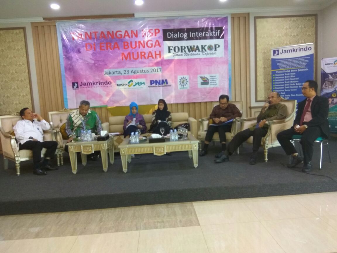 Koperasi Dan UKM, Perseteruan Anak Tiri dan Anak Emas