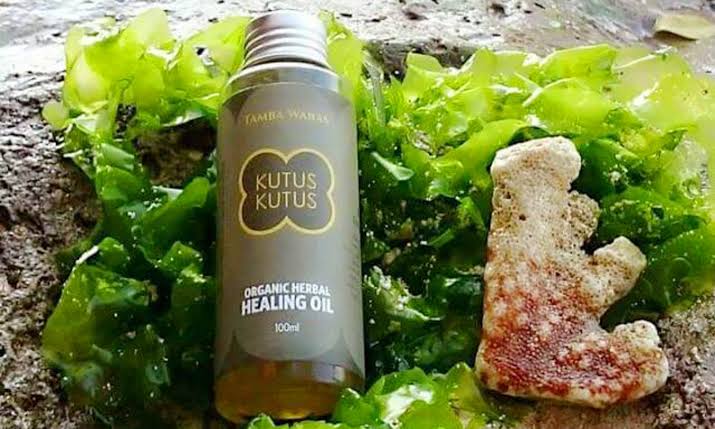 Segudang Manfaat Minyak Kutus-kutus untuk Kesehatan