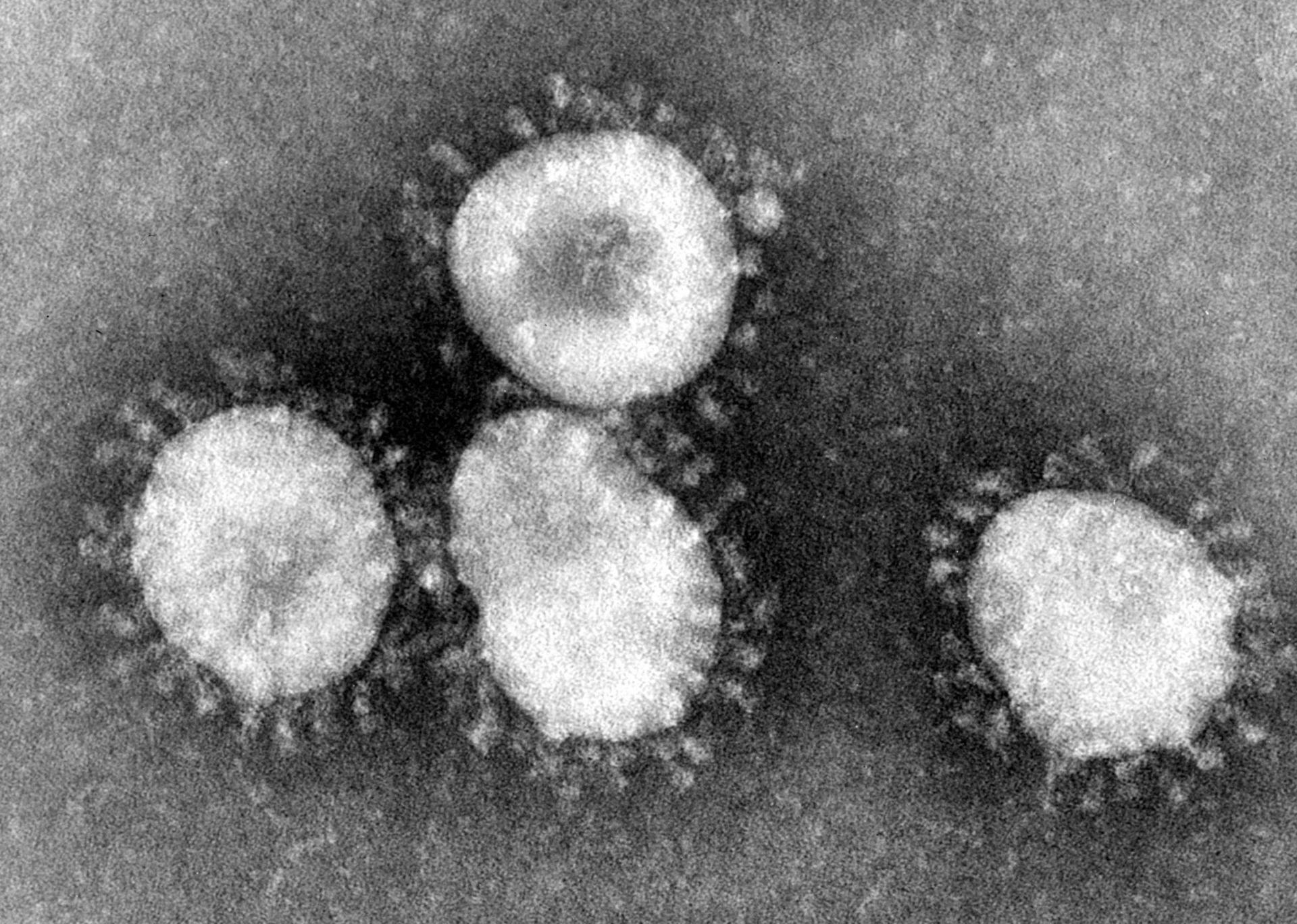 Ramai Virus Corona, Amalkan Doa Ini Agar Terhidar dari Wabah Penyakit
