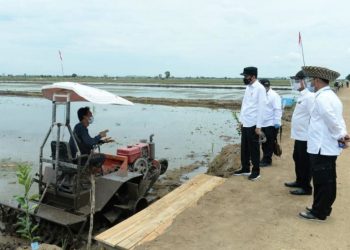 Jelang Ramadhan, Pemerintah Pastikan Ketersediaan dan Harga Bahan Pokok Terkendali