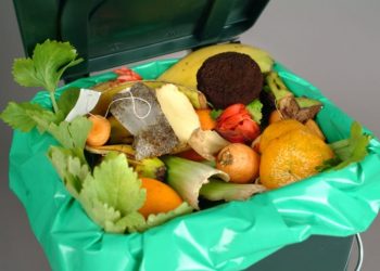 Kurangi Sampah Organik, MUI Imbau Masyarakat Sahur dan Buka Puasa Secukupnya