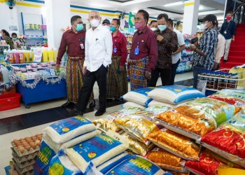 Koperasi Simpan Pinjam Besar Harus Lakukan Spin-off Masuk Ke Sektor Produksi