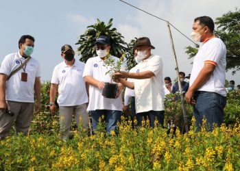 Model Bisnis Baru Bagi Petani Tanaman Hias Bogor Akan Segera Dihadirkan