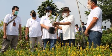 Model Bisnis Baru Bagi Petani Tanaman Hias Bogor Akan Segera Dihadirkan