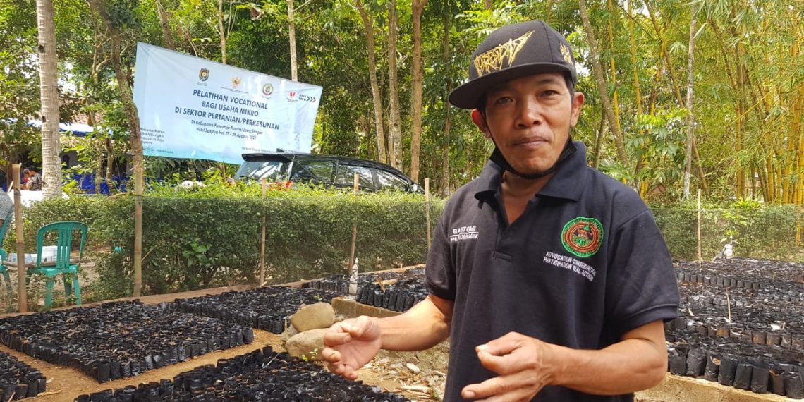 KemenkopUKM Gelar Pelatihan Bagi Petani Umbi Porang di Purworejo