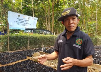 KemenkopUKM Gelar Pelatihan Bagi Petani Umbi Porang di Purworejo
