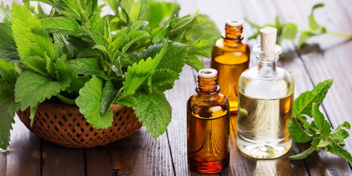 Mengenal Ragam Manfaat Daun Mint untuk Kesehatan