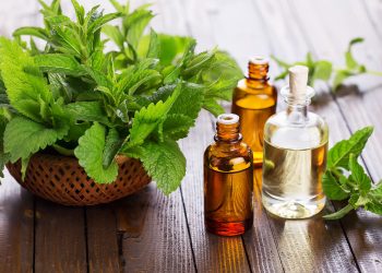 Mengenal Ragam Manfaat Daun Mint untuk Kesehatan