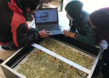 Mahasiswa Muhammadiyah Ciptakan Smart Garden Berbasis IoT