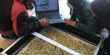 Mahasiswa Muhammadiyah Ciptakan Smart Garden Berbasis IoT