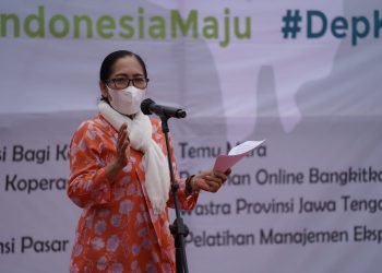 Sinergi KemenKopUKM dan Dekranas Dorong Hadirkan Agregator Koperasi