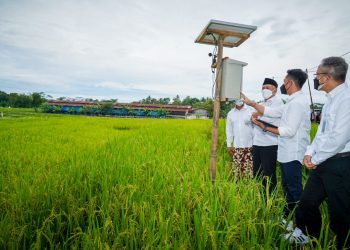 KSU-GT Al Barokah Didorong Scalling-Up Kelola 1000 Hektar Lahan Beras Organik