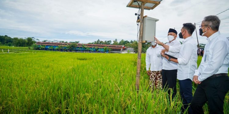 KSU-GT Al Barokah Didorong Scalling-Up Kelola 1000 Hektar Lahan Beras Organik
