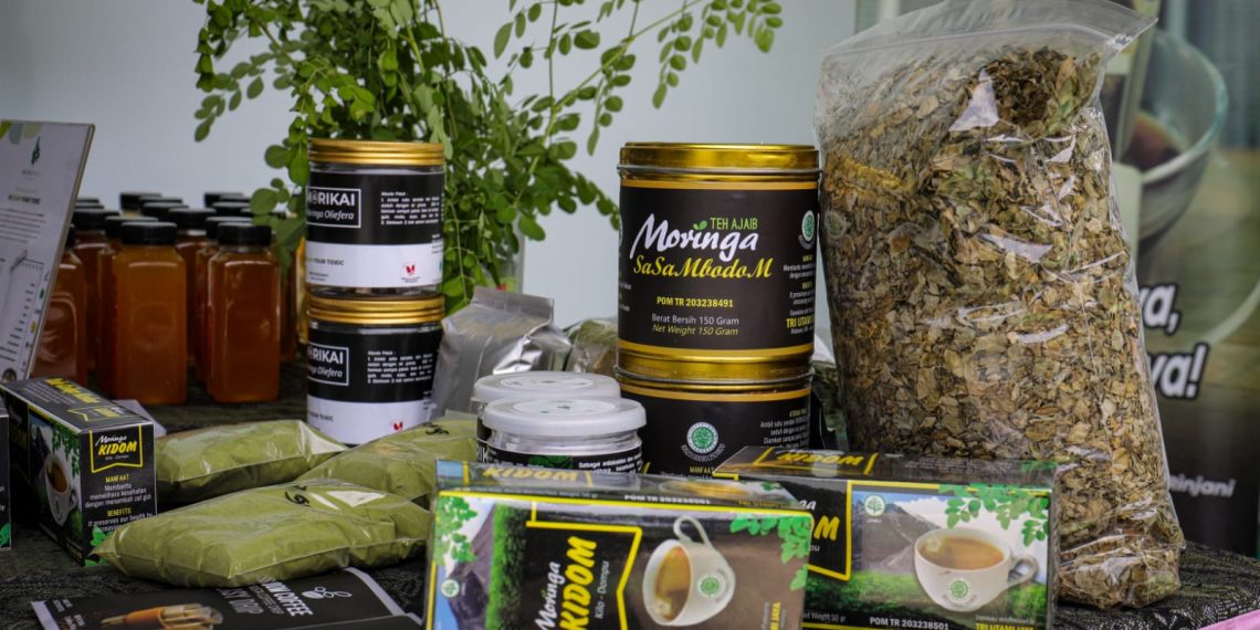 Teh Kelor Moringa Produk Unggulan Domestik NTB Jadi Incaran Pasar Dunia