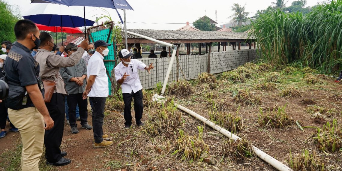 Integrated Farming Didorong Dapat Perkuat Korporatisasi Petani