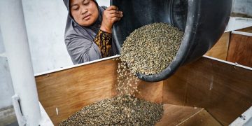 Produk Kopi Aceh Tengah Perlu Memiliki Satu Pintu Saat Masuk Pasar Global