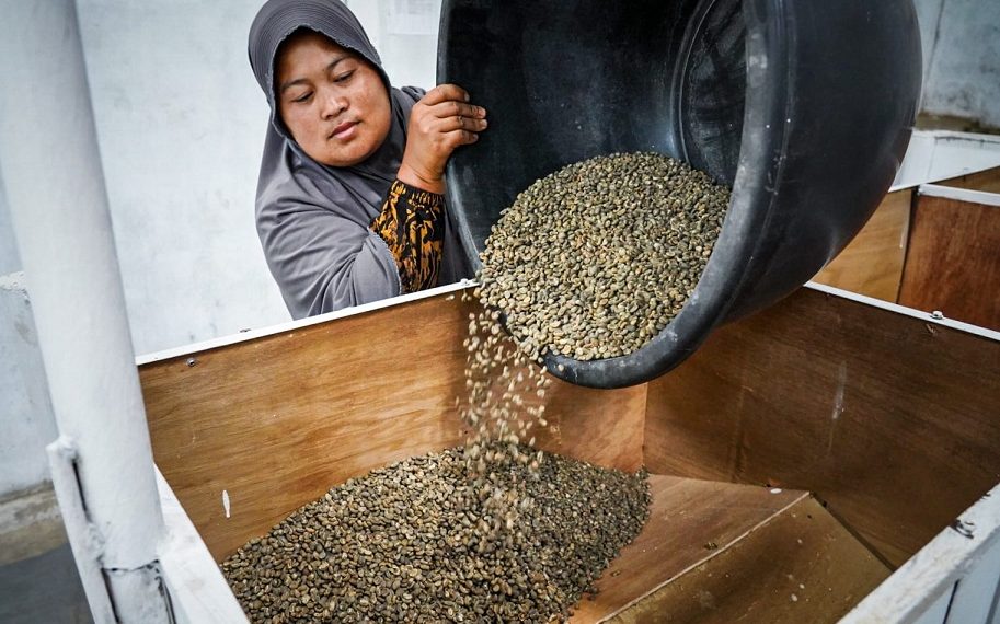 Produk Kopi Aceh Tengah Perlu Memiliki Satu Pintu Saat Masuk Pasar Global