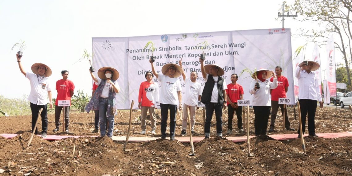 Ponorogo Ditetapkan Jadi Rantai Pasok Komoditas Sereh Wangi
