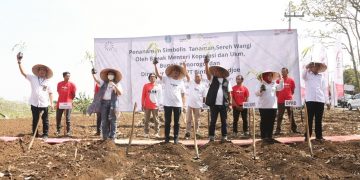 Ponorogo Ditetapkan Jadi Rantai Pasok Komoditas Sereh Wangi