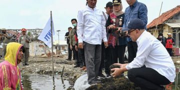 Kemitraan Rantai Pasok Berbasis Koperasi Jadi Kunci Sukses Hilirisasi Industri Rumput Laut