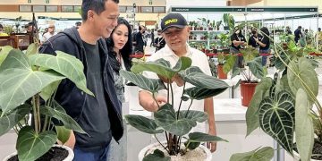 Indonesia Berpeluang Kuasai Pasar Tanaman Hias