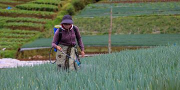 KemenKopUKM Gandeng BI dan Pemkab Brebes, Bersama Kendalikan Inflasi Pangan dan Sejahterakan Petani