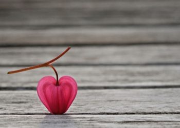 Lapang Hati adalah Sumber Kebahagiaan
