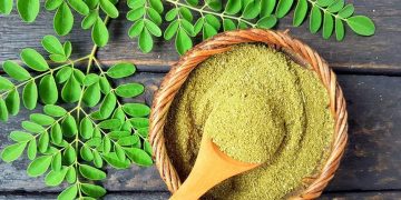 Ragam Manfaat Tanaman Kelor bagi Tubuh