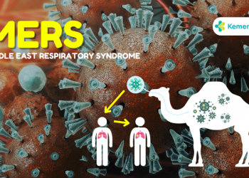 Waspadai MERS-CoV, Jemaah Haji Diminta Hindari Kontak dengan Unta dan Jaga Kebersihan