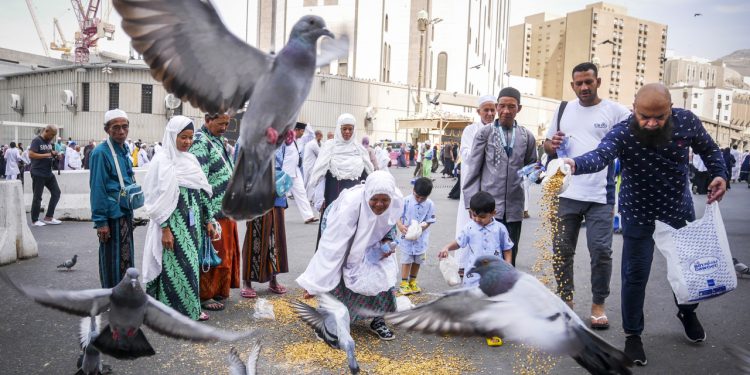 Mau Salat di Masjidil Haram Malah Terkena Kotoran Merpati, Apakah Najis?