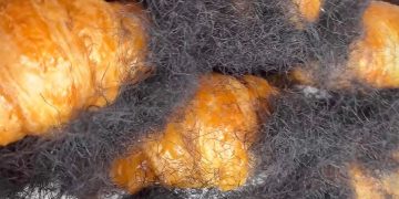 Visual Produk Bisa Gagalkan Sertifikasi Halal, Hair Croissant Jadi Contohnya