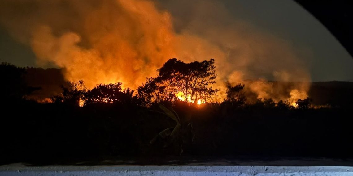 Kebakaran Hutan dan Amanah Manusia Menjaga Bumi dalam Perspektif Islam