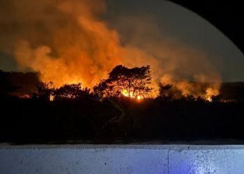 Kebakaran Hutan dan Amanah Manusia Menjaga Bumi dalam Perspektif Islam