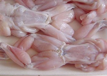 Heboh Daging Kodok Berlabel Halal Dijual di Supermarket, Kok Bisa?